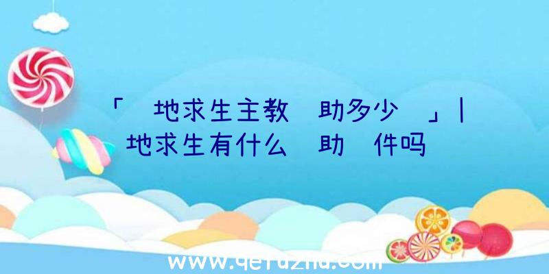 「绝地求生主教辅助多少钱」|绝地求生有什么辅助软件吗